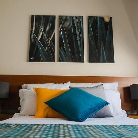 Apartament Casa Agave X Santiago De Tequila Zewnętrze zdjęcie